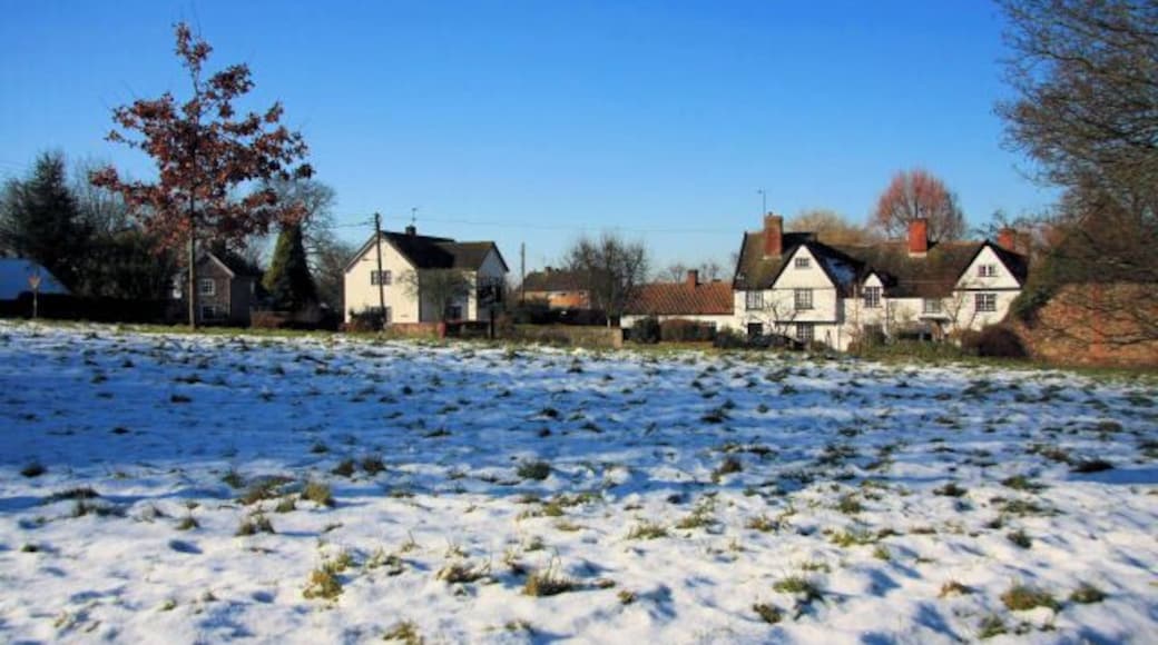 Risby village green This is one of two greens in the centre of the village; this one is considered to be the 'main' one. The older building opposite is two dwellings, Lower Farm House and Cottage.