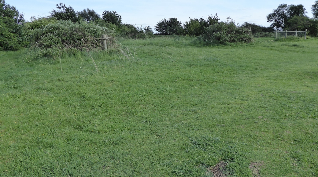 Aspal Close is a Local Nature Reserve in Beck Row in Suffolk.