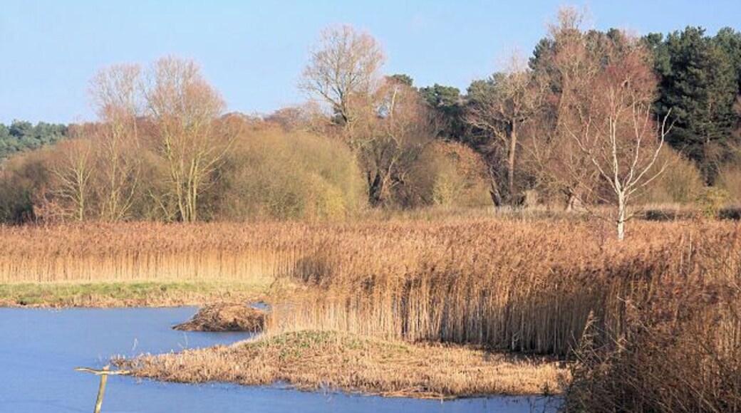 Plover Lake, Lackford One of the former gravel pits, now flooded, that form the Lackford Lakes Nature Reserve.