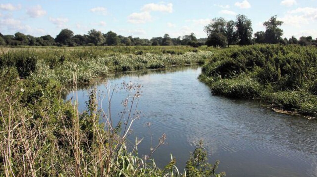 River Lark near Wamil Hall Looking upstream along this once-navigable river.