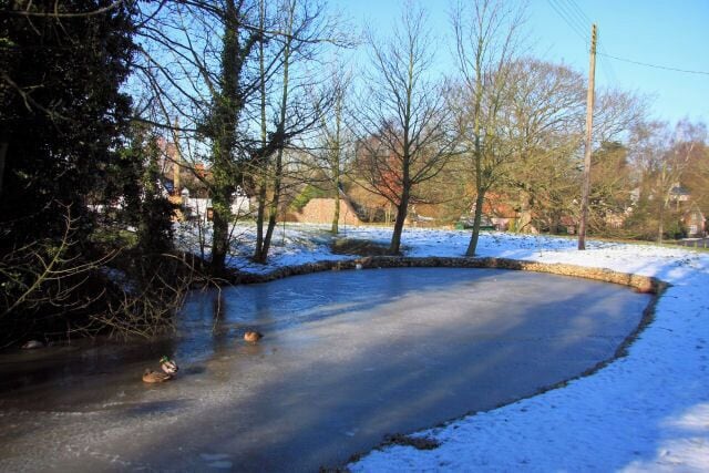 A frozen pond surrounded by trees and houses.