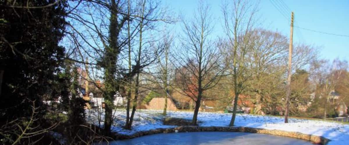 A frozen pond surrounded by trees and houses.