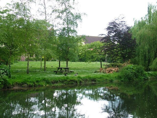 Riverside lawn with ducks, Barton Mills Seen across the River Lark from the Mildenhall bank.
