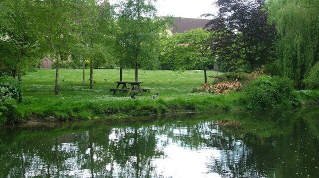 Riverside lawn with ducks, Barton Mills Seen across the River Lark from the Mildenhall bank.