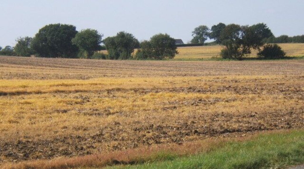Field by lane west of Shimpling Attractively coloured after the recent harvest.