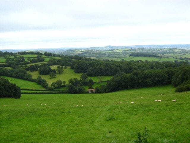 View down the valley from Stoke Woods, looking SSE with Glastonbury Tor on the horizon. Somerset, UK.