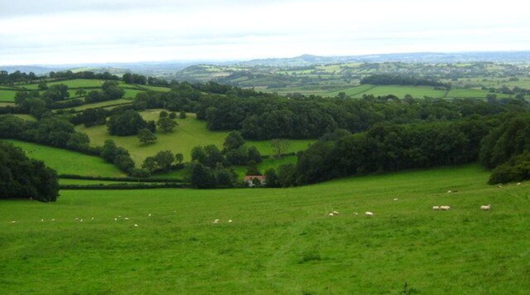 View down the valley from Stoke Woods, looking SSE with Glastonbury Tor on the horizon. Somerset, UK.