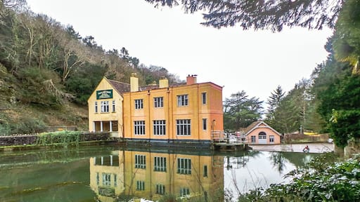 View within the charming village of Cheddar.
