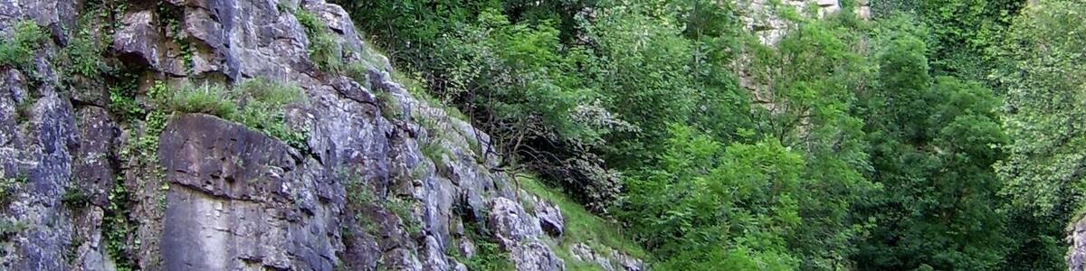 Cheddar Gorge