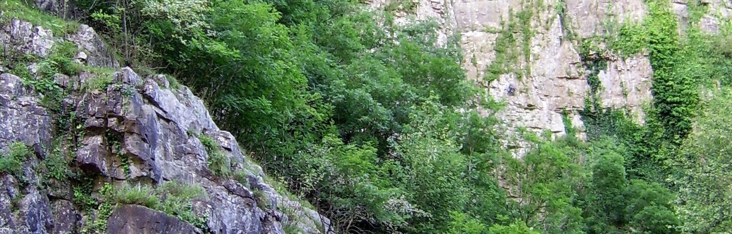 Cheddar Gorge