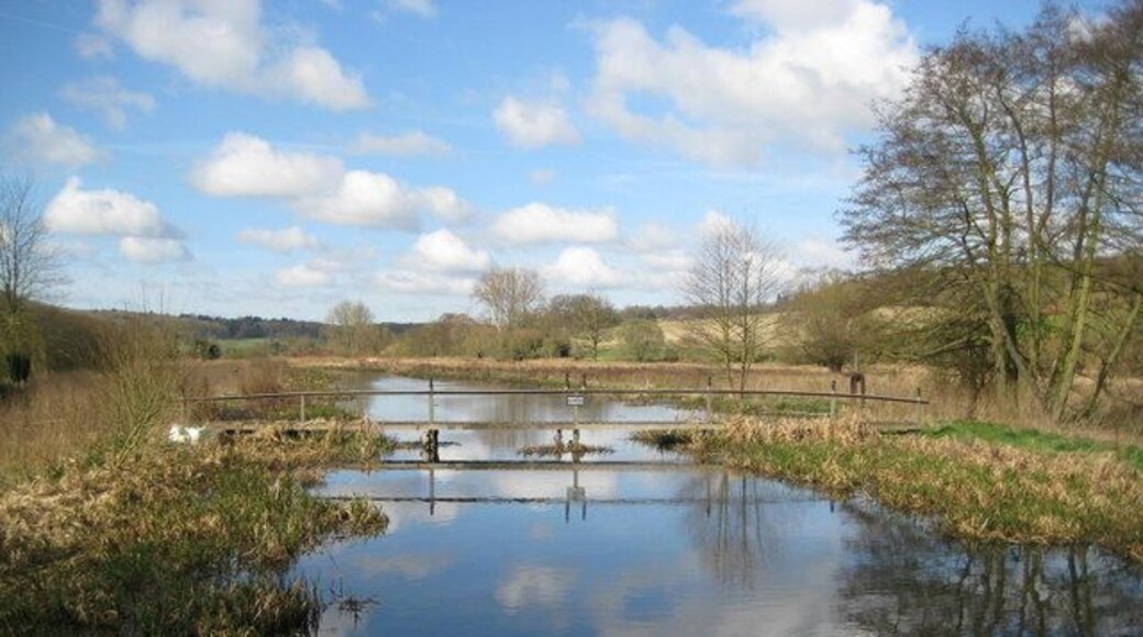 River Chess at Chenies Bottom: Dodd's Mill leat This broad channel is actually a leat built to provide a head of water to the former Dodd's Mill that is behind the photographer. The actual river flows here in the valley to the right. (By a totally unplanned coincidence I see that this photograph has been taken two years to the day after 139218 and 139226 also in this grid square.)