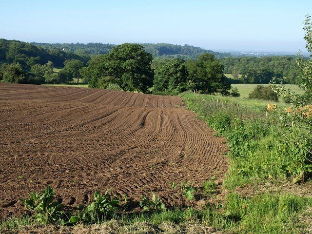 Tilled field, Spye Park Seen from the path between Bowden Hill and Chittoe, near Dairy Farm. This seems to be an isolated arable field surrounded by parkland and pasture.