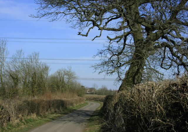 Oak tree and power lines On the road to Yatton Keynell. Coming from West Yatton.