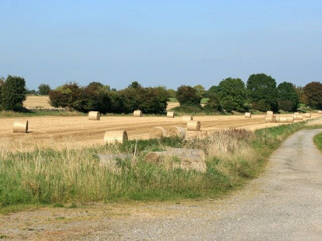 Harvested field near Northwood Farm "What is that rushing noise?" I asked a friend. "Its the farmers sighing with relief." He answered.