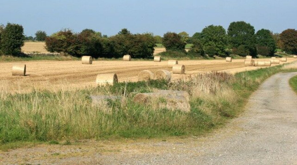 Harvested field near Northwood Farm "What is that rushing noise?" I asked a friend. "Its the farmers sighing with relief." He answered.