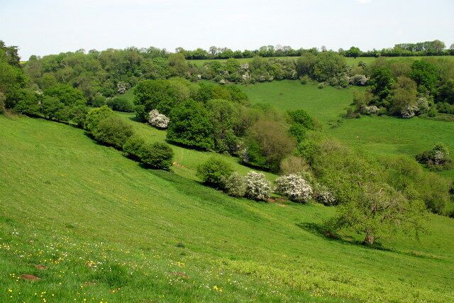 An isolated valley The valley has no name on the map. The stream within it flows south towards St Catherine's brook and ultimately the river Avon. It looked lovely.