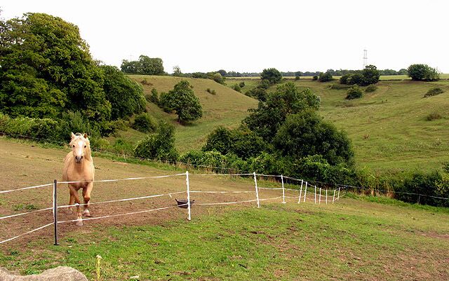 Farmland near Burton. A view of farmland in the southern half of the square, taken from the road looking south east towards the power lines. The square is all farmland, although a small section of the M4 also passes through it.