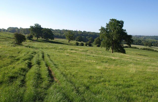 Path across Spye Park (3). Looking towards Old House Copse, in the other direction from 1342284. The path is crossing much more open land as it approaches Dairy Farm.