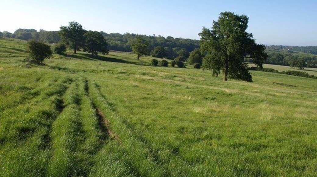 Path across Spye Park (3). Looking towards Old House Copse, in the other direction from 1342284. The path is crossing much more open land as it approaches Dairy Farm.
