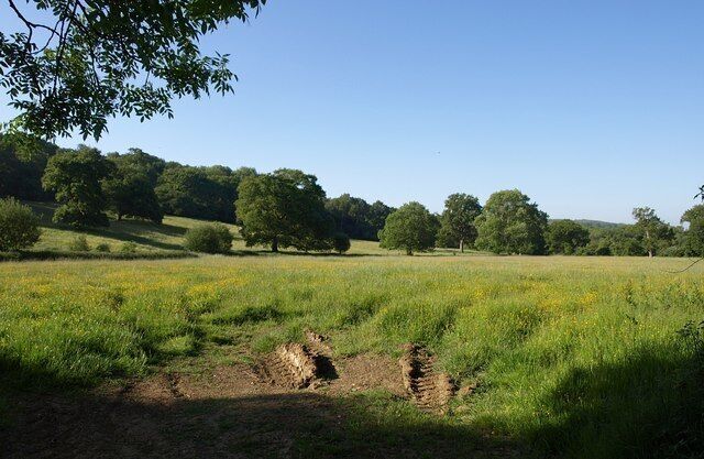 Meadow by Clink Lane. This is on the opposite side of the bridleway from 1343395; an almost level field bordered by a drain on the left. Silverstreet Wood rises in the background.