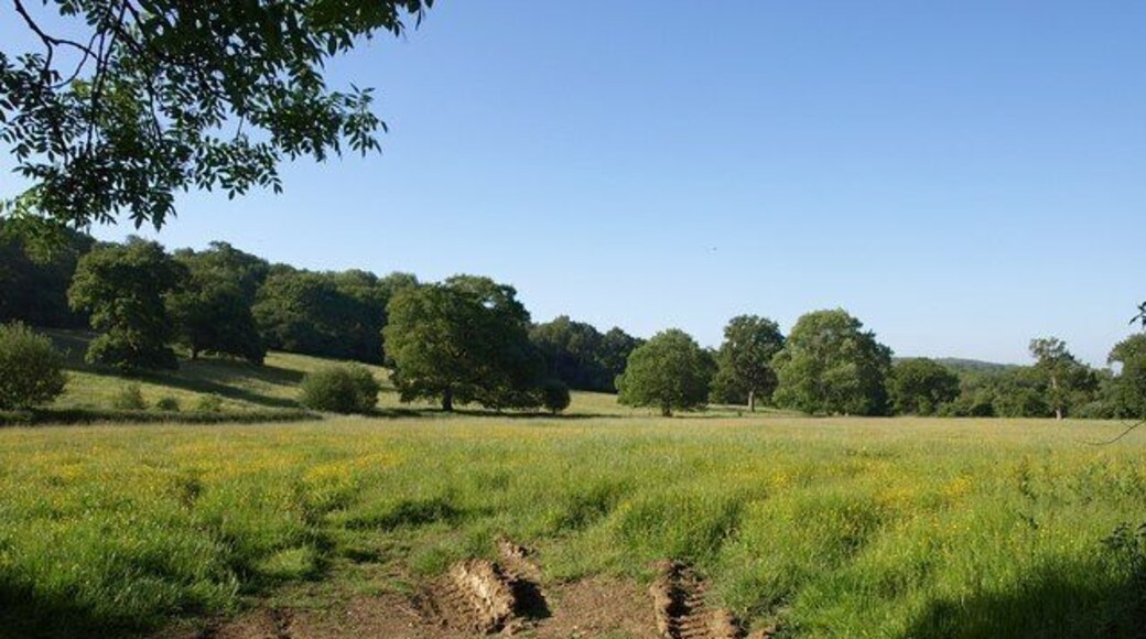 Meadow by Clink Lane. This is on the opposite side of the bridleway from 1343395; an almost level field bordered by a drain on the left. Silverstreet Wood rises in the background.