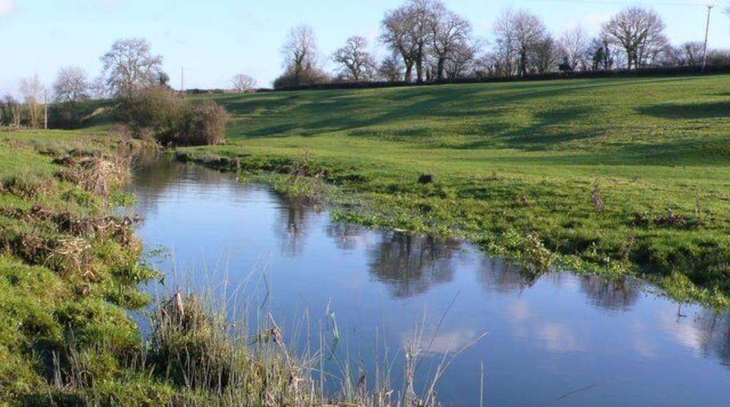 Stream near Brook End This stream flows north from Luckington towards Sherston. This is the view north from close to the B4040 north of brook End.