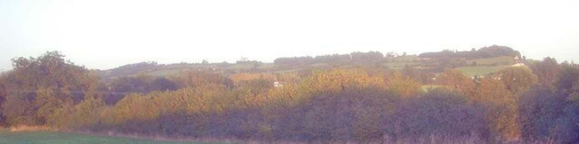 Meadow near Scott's Mill Looking east across lush grassland to Bencroft Hill. The public footpath here is little used and it is easier just to follow the hedge line than cut across the field.