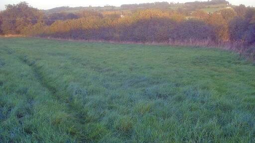 Meadow near Scott's Mill Looking east across lush grassland to Bencroft Hill. The public footpath here is little used and it is easier just to follow the hedge line than cut across the field.