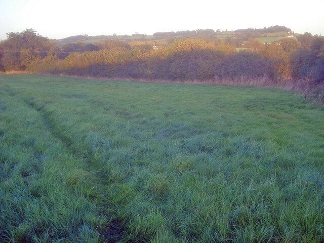 A grassy field with a forested hill in the background.