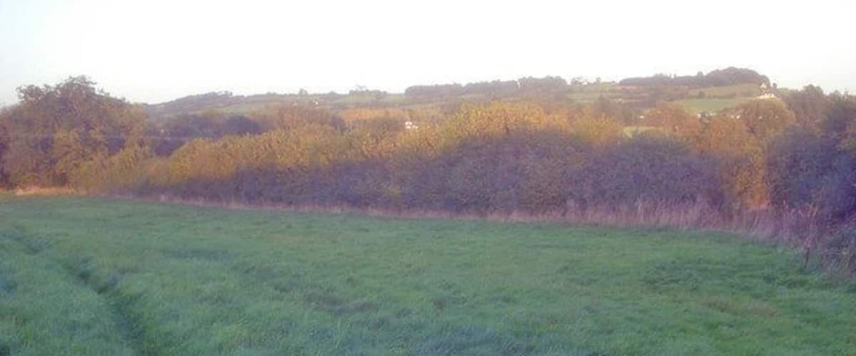 A grassy field with a forested hill in the background.