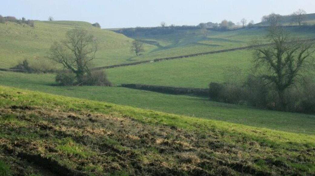 Valley east of Cock Lane There are traces of an ancient field system on the opposite side of this valley and the remains of a prehistoric fort at the top. Pasture