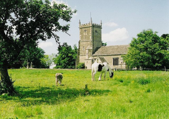 Great Somerford church Animals graze in the sunshine, in front of the Church of St Peter and St Paul.