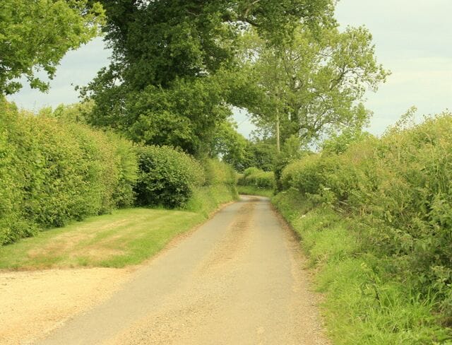 Cromhall Lane near Easton Piercy This give a good idea of the nature of Cromhall Lane, mostly very quiet. In the time I was there (about an hour) two cars and a tractor went past, I missed all of them.