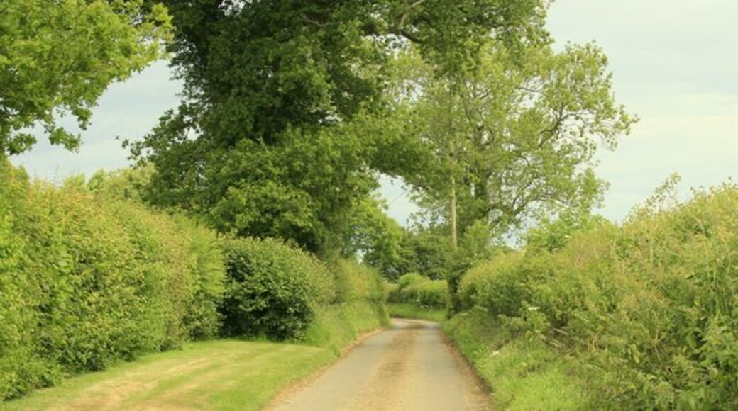 Cromhall Lane near Easton Piercy This give a good idea of the nature of Cromhall Lane, mostly very quiet. In the time I was there (about an hour) two cars and a tractor went past, I missed all of them.