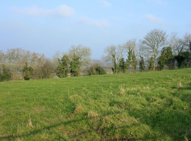 Pasture on Hinton Hill Near the western end of an ancient hill fort.