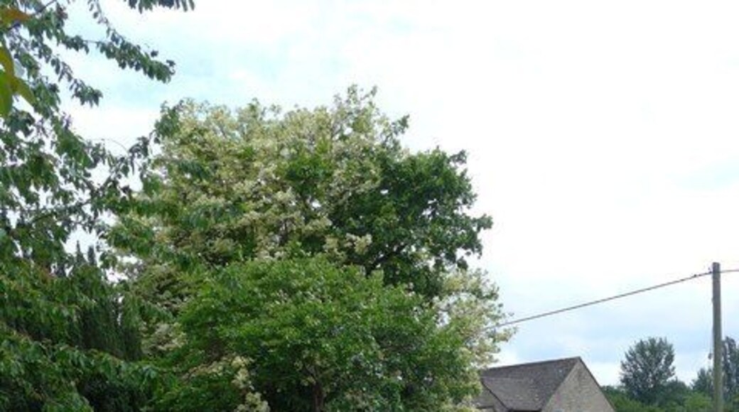 St. John The Baptist, Little Somerford: churchyard (VI)