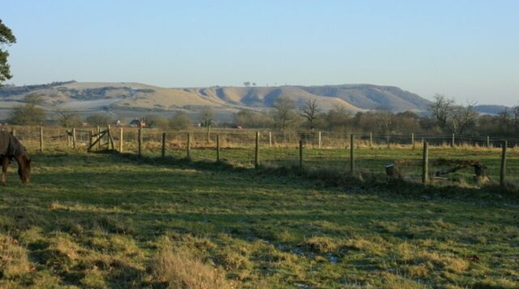 East from the A3102 near Bromham. At the start of a footpath between the A3102 and Bromham. Traffic on the A342 can be seen. The range of hills in the distance, on the edge of the Marlborough Downs, reading from right to left are Roundway, then Oliver's Castle SU0064 with a few trees on top, and Beacon Hill. Between the last two there an unusual bit of corrugated hillside, an explanation for which can be found in 870366 1115212 gives a similar view of these hills from a different direction.