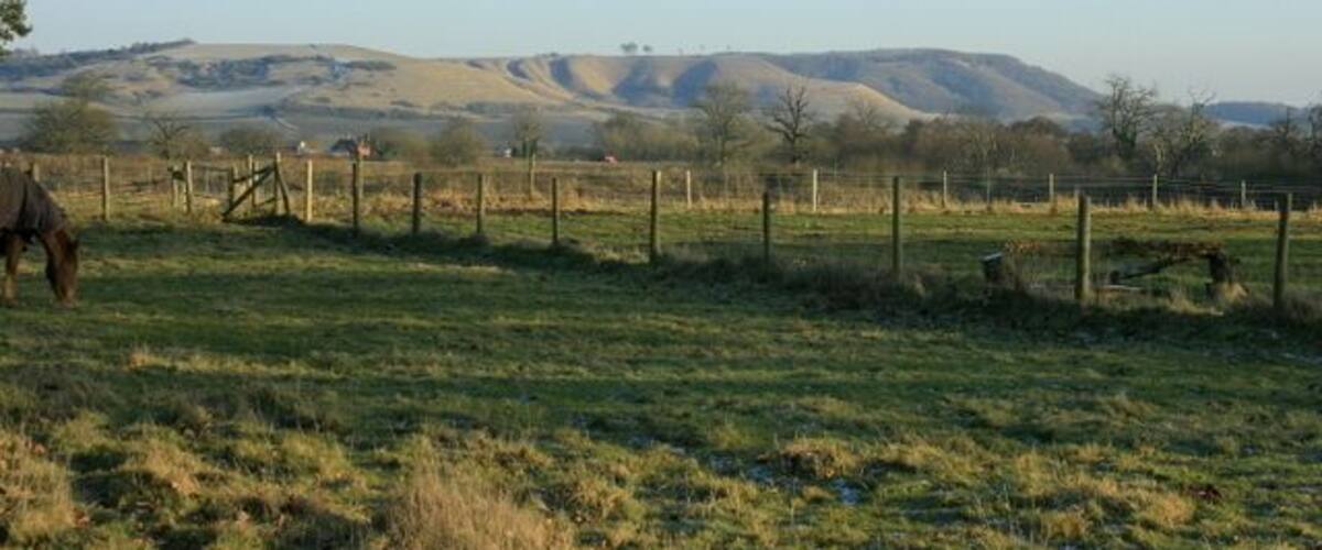 A horse grazing in a fenced field with rolling hills in the background.