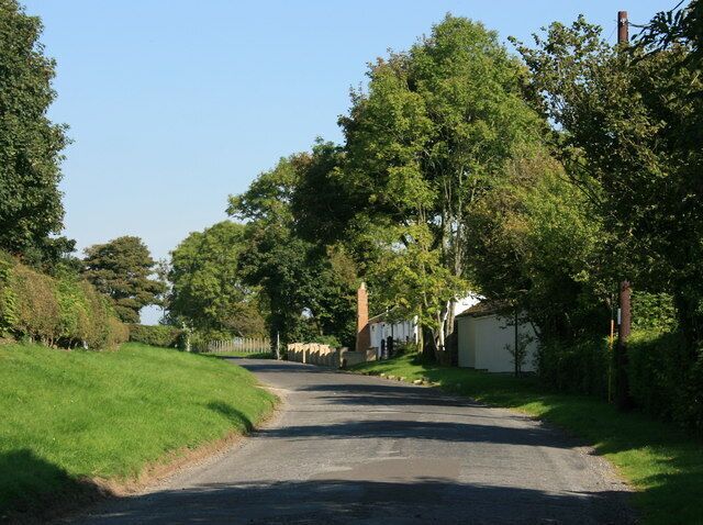 A rural road flanked by trees and houses.