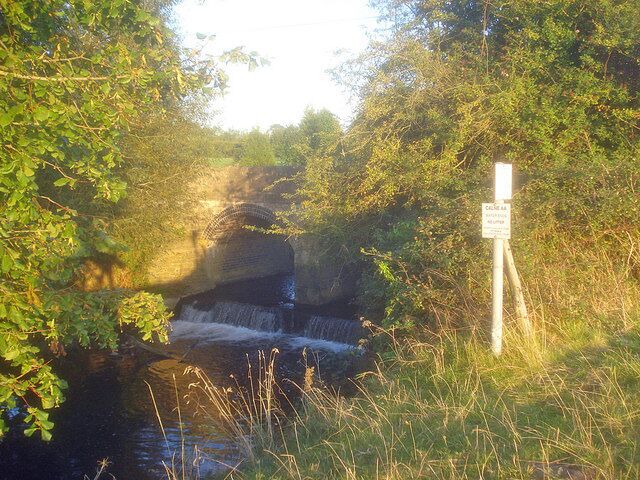 Una cascada pequeña en un área boscosa con un cartel cercano.