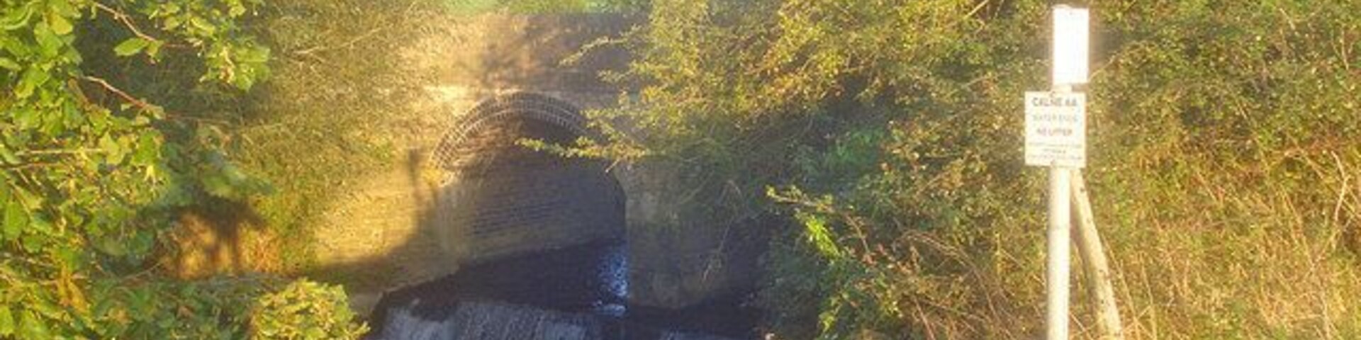 Una cascada pequeña en un área boscosa con un cartel cercano.