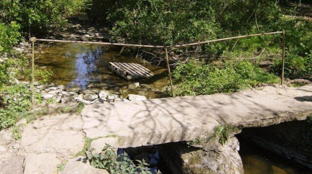 Clapper bridge over Luckington Brook On a footpath south of the village. The stream, a headwater of the Bristol Avon, is already nearly dry, in May. Less than half a mile upstream it was dry, and we met a Water Board employee who said it was the earliest he had known this stream to dry up.