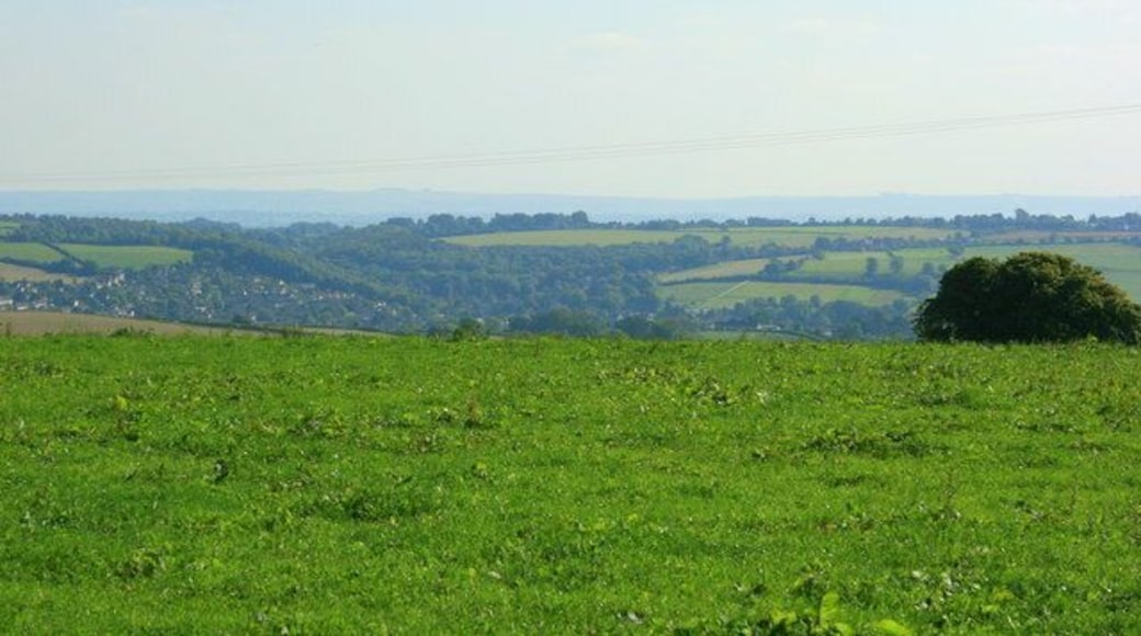 East of south from Bath Road, Colerne The pasture soon drops into the valley, with Lid Brook at the bottom. Box is on the far hillside to the left.