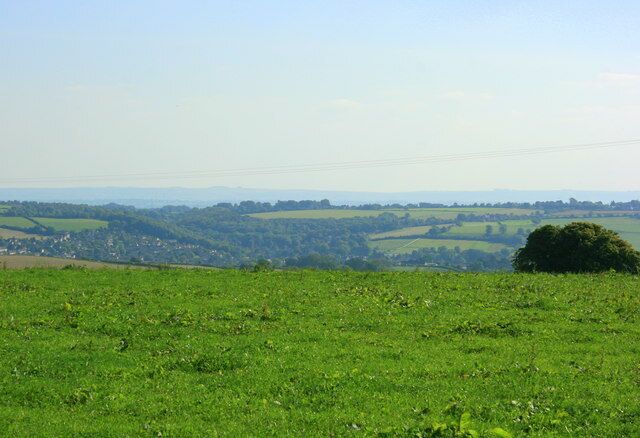 A green field with a hill in the distance and a tree on the right.