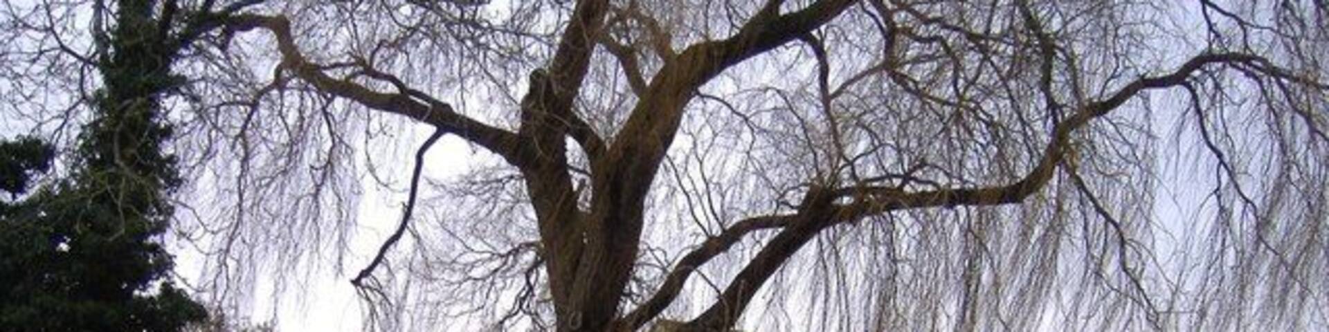 Brook farm, Foxham On the minor road between West end, Foxham and Christian Malford.