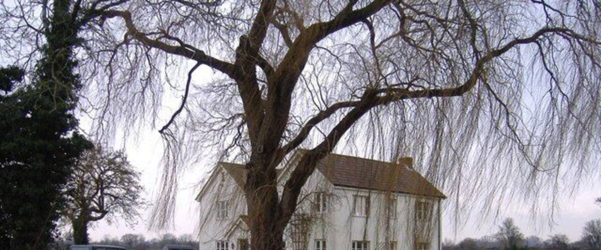 A large white house with a tree in front, a road, and a car parked nearby.