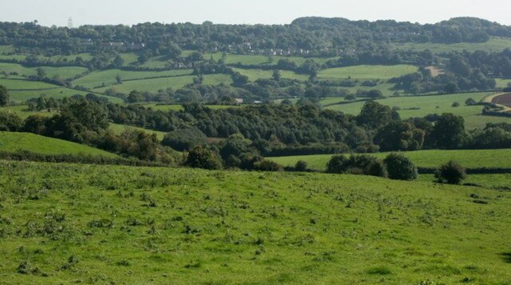 South east from Colerne The hill rolls down to Lidbrook Bottom where the Lid Brook joins the By Brook. Box Hill is on the other side of the valley.