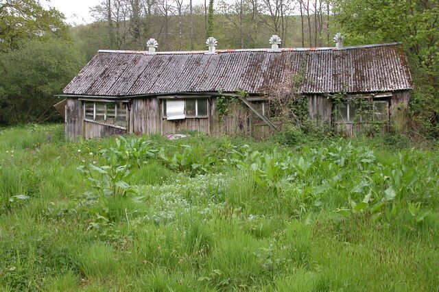 An old, dilapidated wooden house with a weathered roof, surrounded by overgrown vegetation.