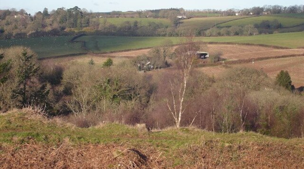 View North over River Taw. from Motte and Bailey