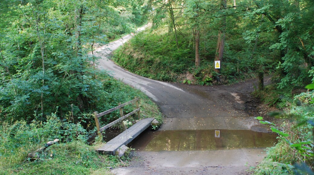 Ford at East Cheldon Farm